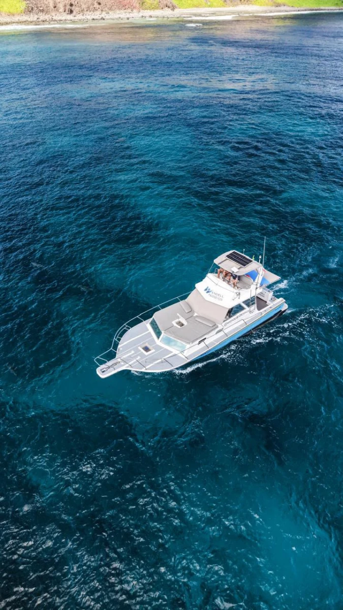 Lancha Sea Fox em Fernando de Noronha