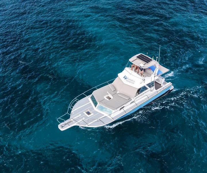 Lancha Sea Fox em Fernando de Noronha