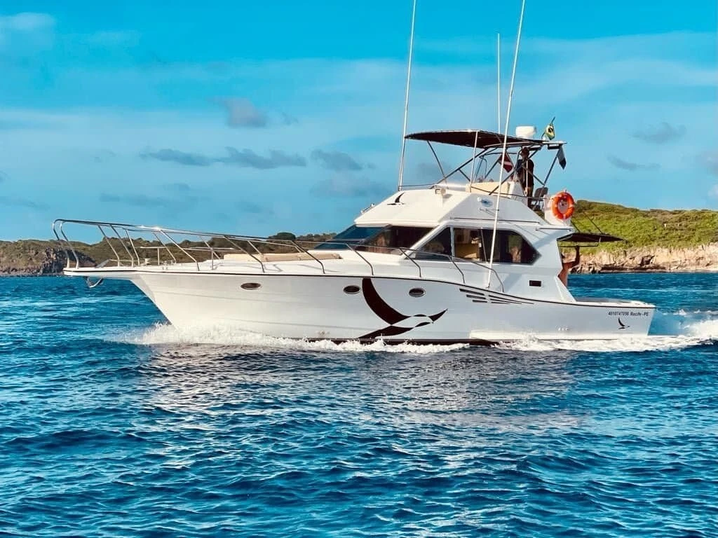 Lancha Albatroz em Fernando de Noronha