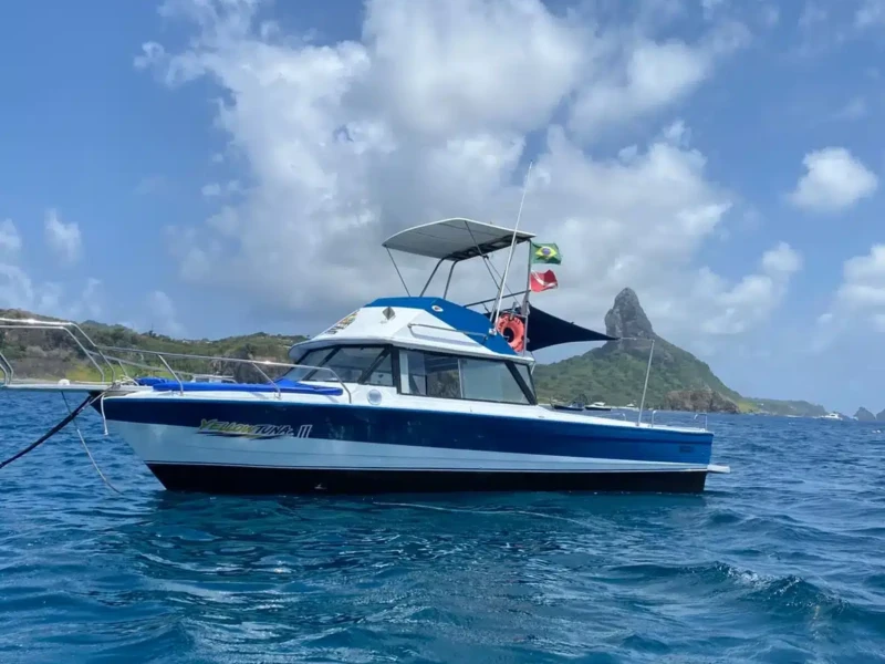 Lancha Yellow em Fernando de Noronha