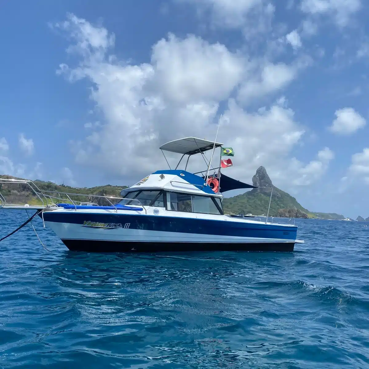 Lancha Yellow em Fernando de Noronha