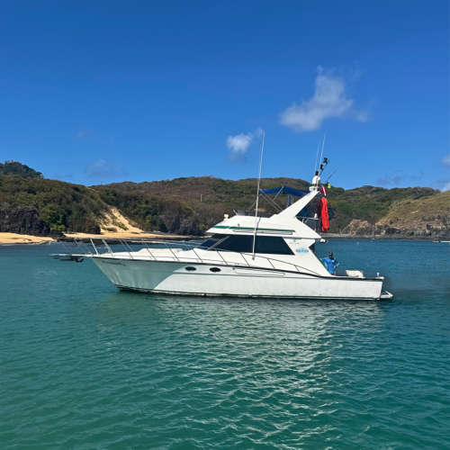 lancha-alquimista-noronha