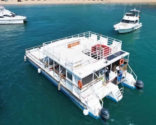 catamarã vida mansa noronha