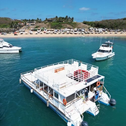 catamarã vida mansa noronha