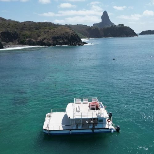 catamarã vida mansa noronha