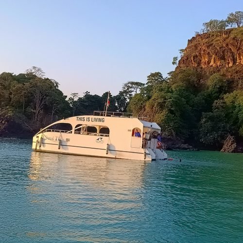 catamarã davi noronha