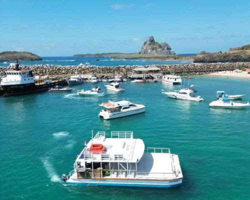 catamarã vida mansa noronha