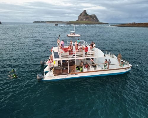catamarã vida mansa noronha