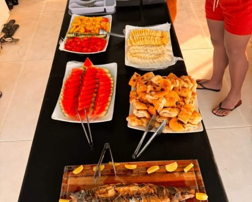 catamarã vida mansa noronha