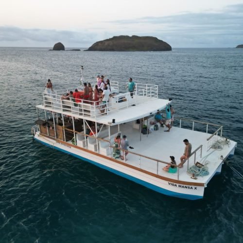 catamarã vida mansa noronha