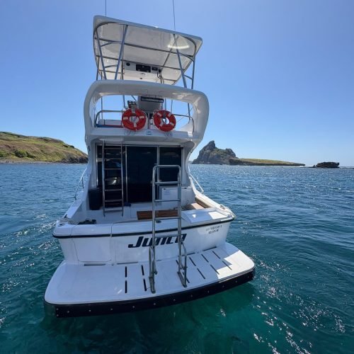 lancha-junco-noronha