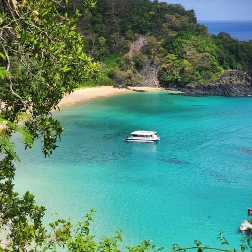 barco-tradicional-noronha-8