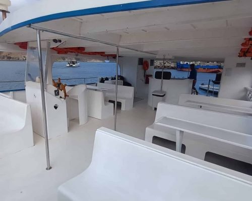 fretamento-barco-noronha-davi-10