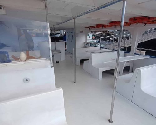 fretamento-barco-noronha-davi-8