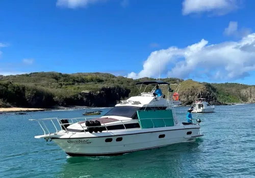 guardiao_noronha_bloco_1_03