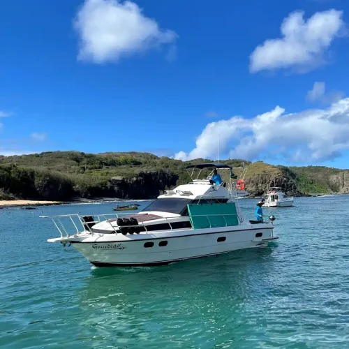 guardiao_noronha_bloco_1_03