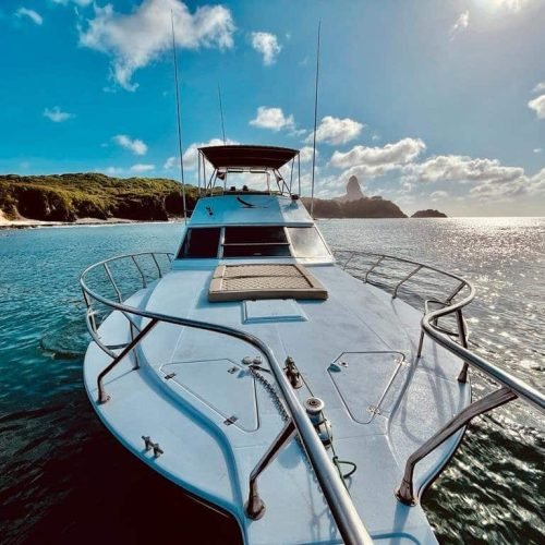 lancha-albatroz-noronha-5