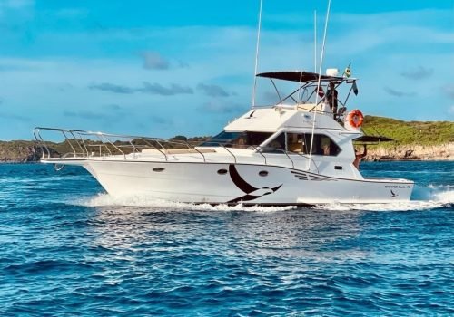 lancha-albatroz-noronha-8