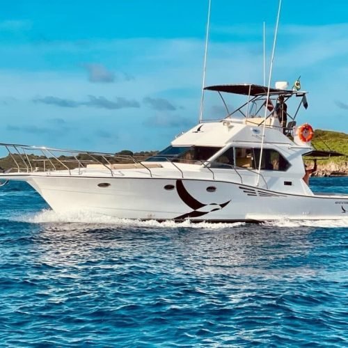 lancha-albatroz-noronha-8