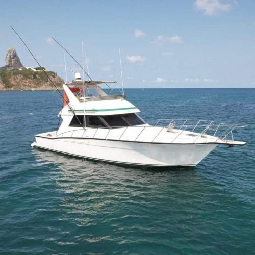 lancha-alquimista-noronha-8