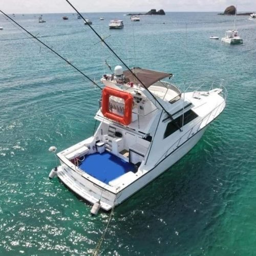 lancha-alquimista-noronha-9