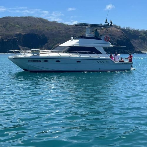 lancha-intrometida-noronha-2