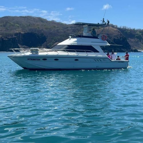 lancha-intrometida-noronha-2