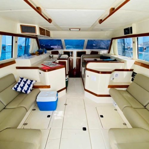 lancha-intrometida-noronha-8