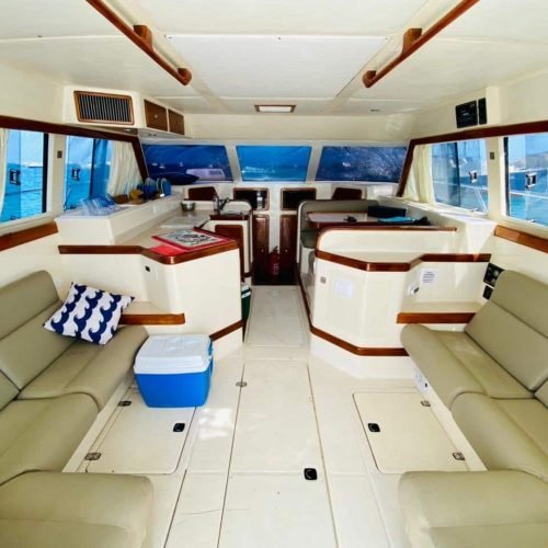 lancha-intrometida-noronha-8