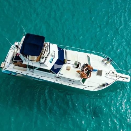 lancha-sea-fox-noronha