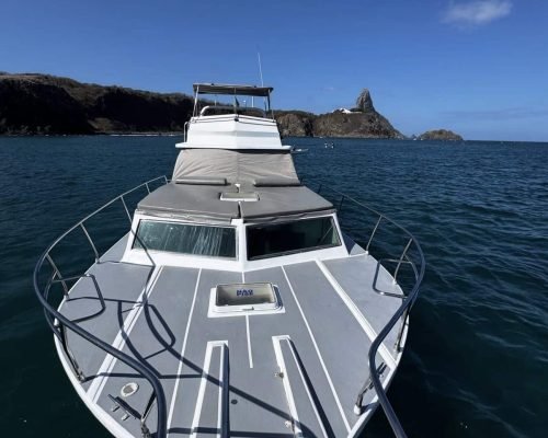 lancha-wendell-noronha-5 2