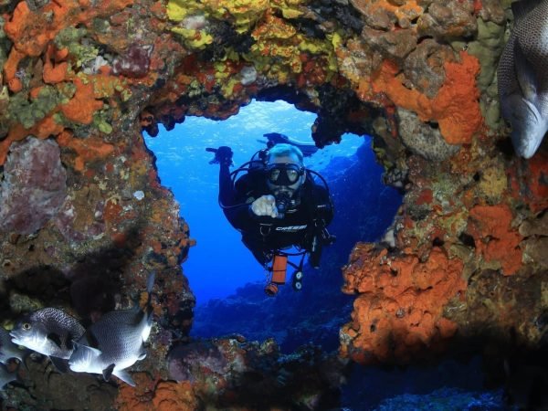 mergulho-cilindro-noronha-2