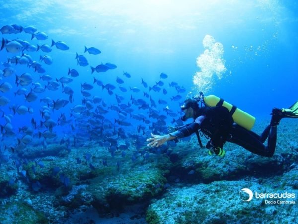 mergulho-cilindro-noronha-4