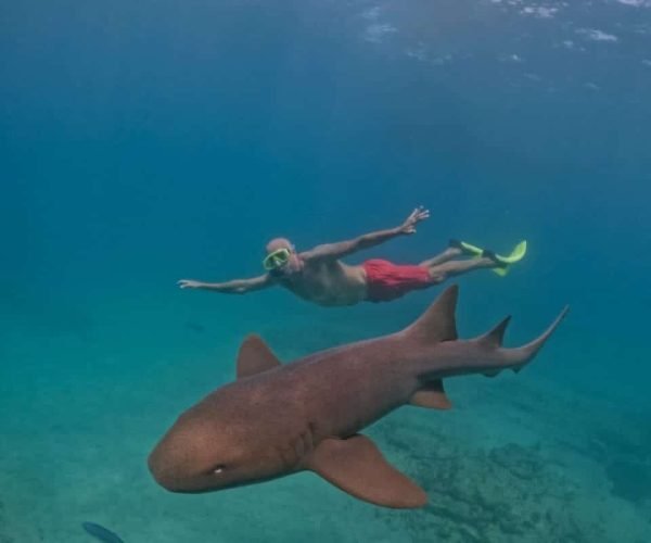 snorkel-fotosub-noronha-4